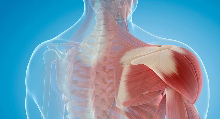 Manfaat fisioterapi dalam mengatasi nyeri punggung
